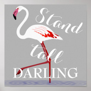 Affiches Stand tall chéri citer flamingo inspiration