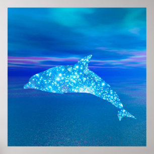 Affiches Star Dolphin