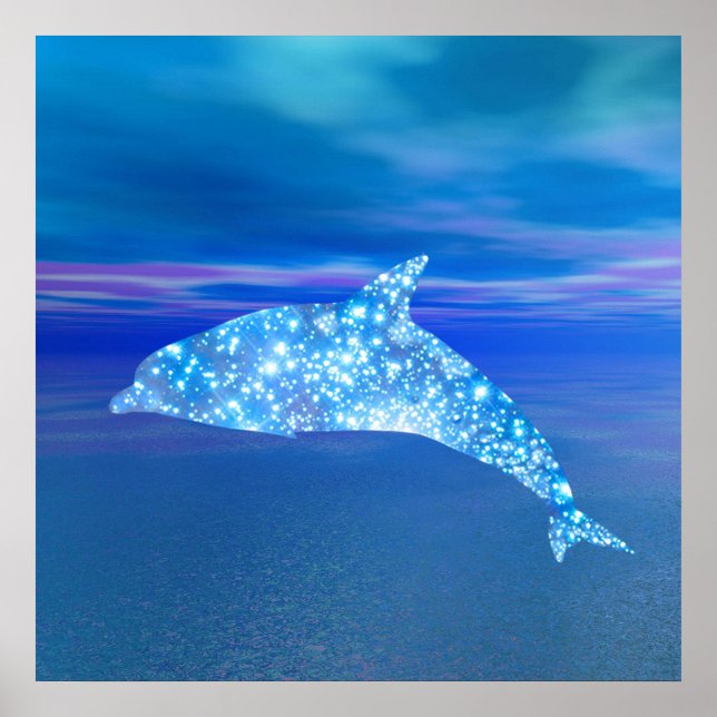 Affiches Star Dolphin (Devant)