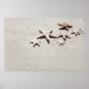 Affiches Starfish on sand