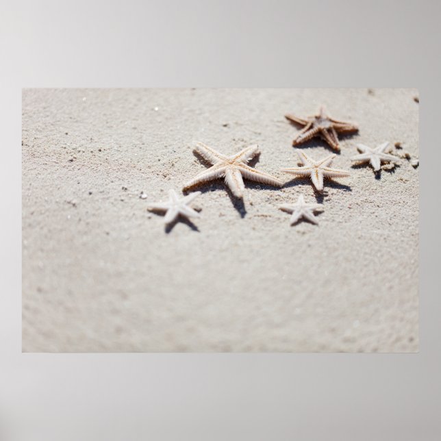 Affiches Starfish on sand (Devant)