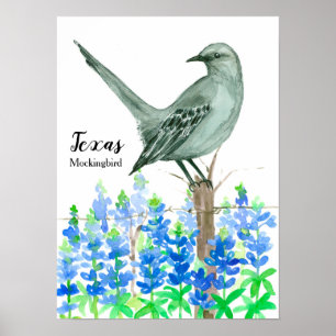 Affiches State Bird of Texas Mockingbird