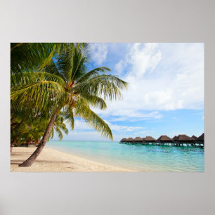 Affiches Station exotique