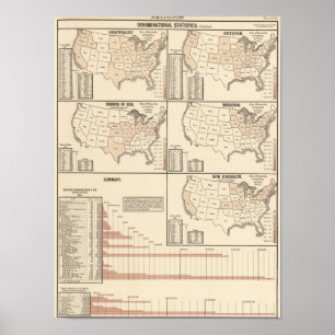 Affiches Statistiques dénominatives des Etats-Unis