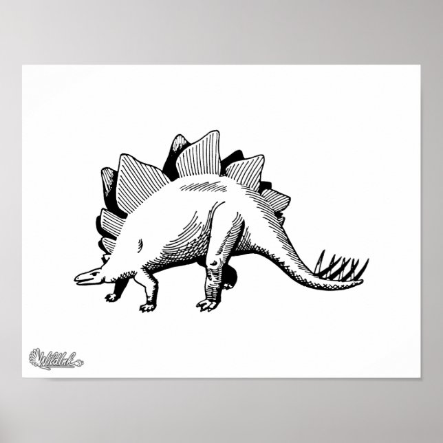 Affiches Stegosaurus (Devant)