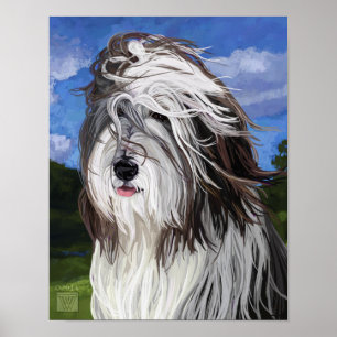 Affiches Stella le chien de berger anglais