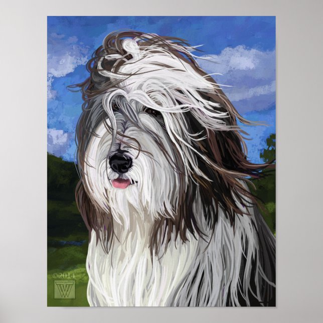 Affiches Stella le chien de berger anglais (Devant)