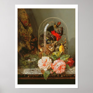 Affiches Still Life with Humming Bird in a Glass Dome