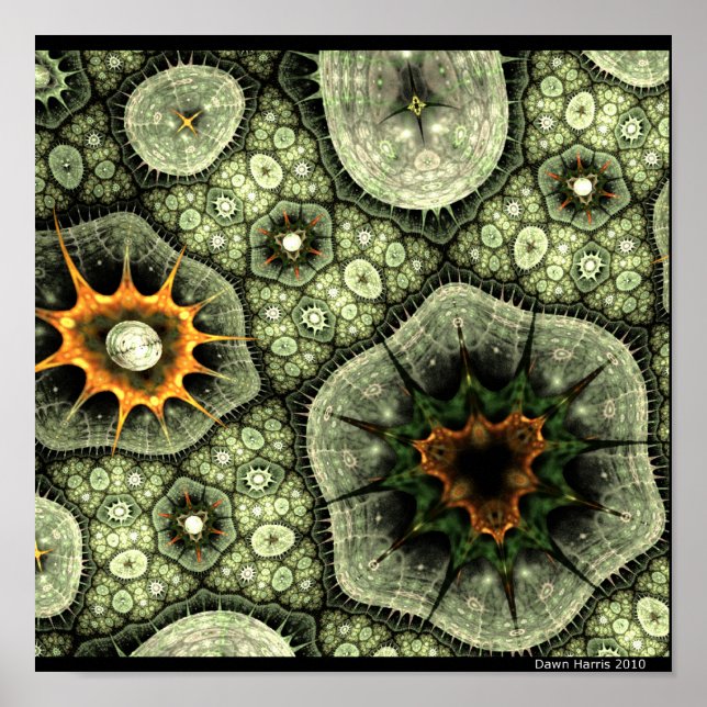 Affiches Stone Lichen (Devant)