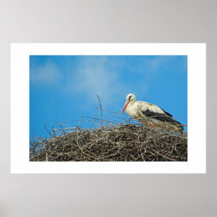 Affiches Stork's Nest