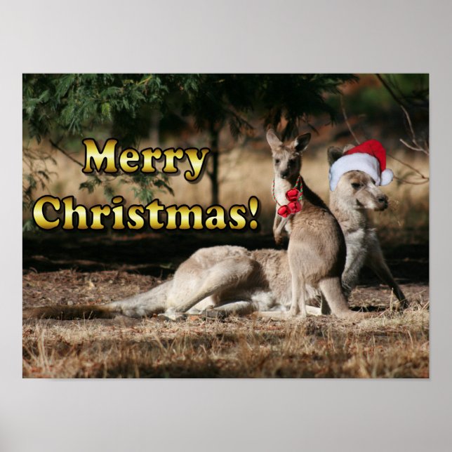 Affiches Style australien Kangaroos de Noël (Devant)