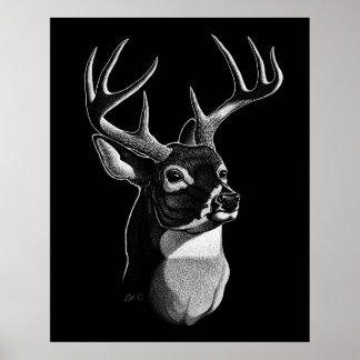 Affiches Style Scratchboard de tête de cerf