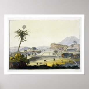 Affiches Sugar Plantation, Antilles (colour engraving)