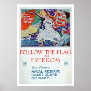 Affiches Suivez le drapeau de la liberté (US02179)