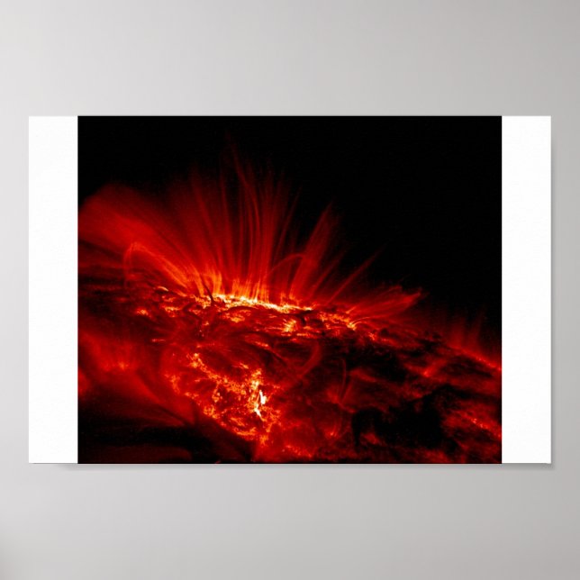 Affiches sun bursts (Devant)