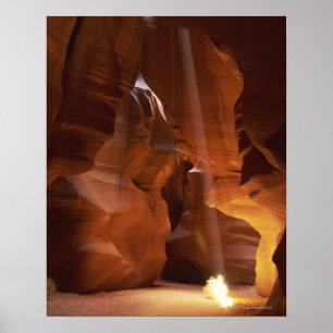 Affiches Sunbeam hitting tumbleweed on canyon floor