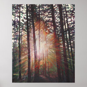 Affiches Sunburst 2010