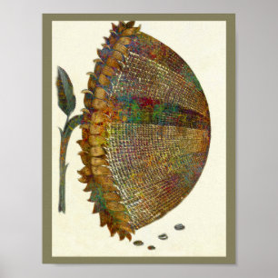 Affiches Sunflower italienne médiévale