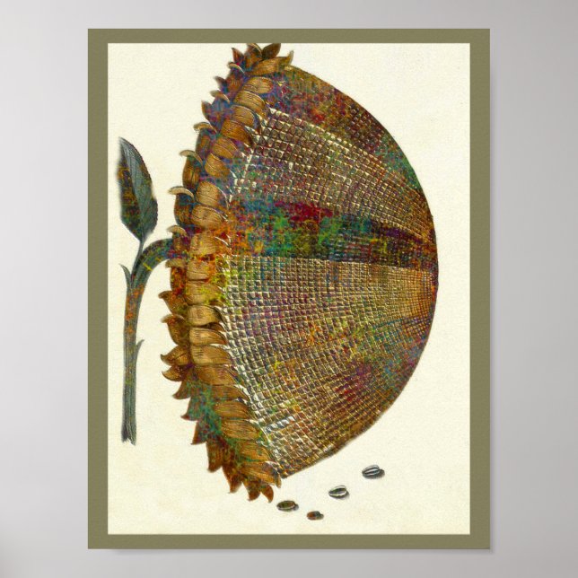 Affiches Sunflower italienne médiévale (Devant)