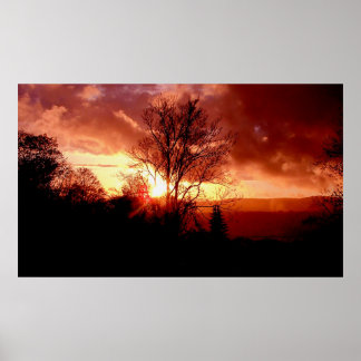 Affiches Sunrise aux fraises