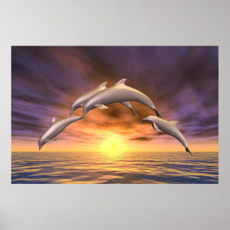 Affiches Sunrise Jump