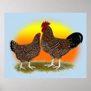 Affiches Sunrise Sussex