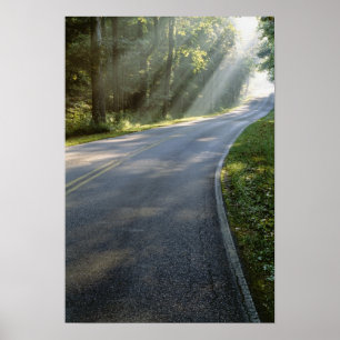 Affiches Sunrise through fog alongside Green River