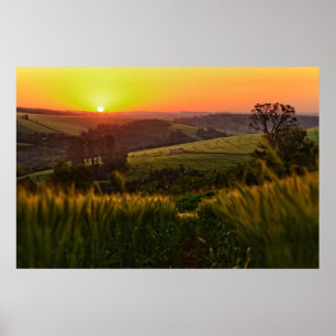 Affiches Sunset Agriculture Wheat