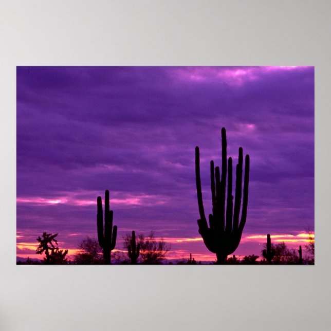 Affiches Sunset, Scottsdale, Arizona (Devant)