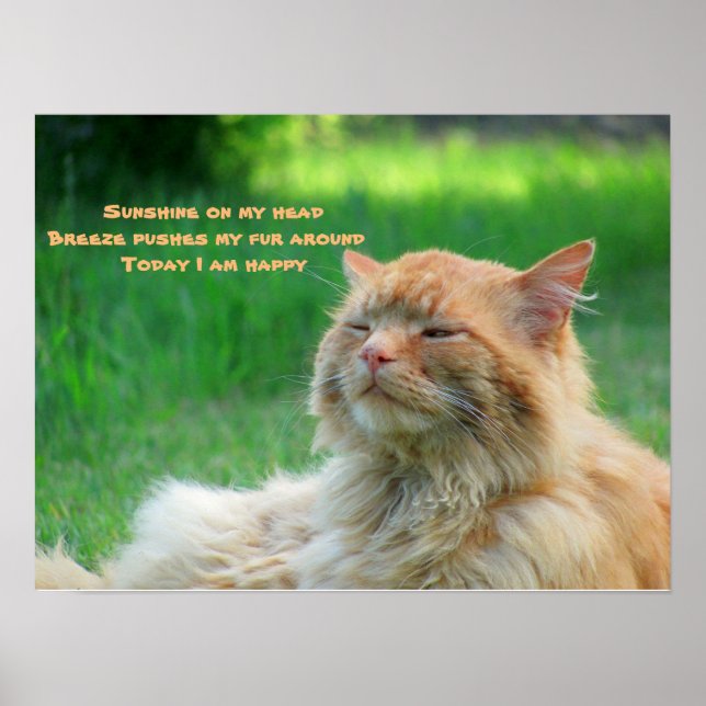 Affiches Sunshine Breeze Happy Cat Haiku (Devant)