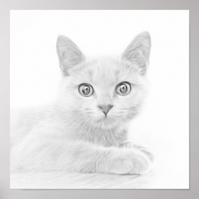 Affiches SUPER CUTE Kitten Portrait Photographie (Devant)