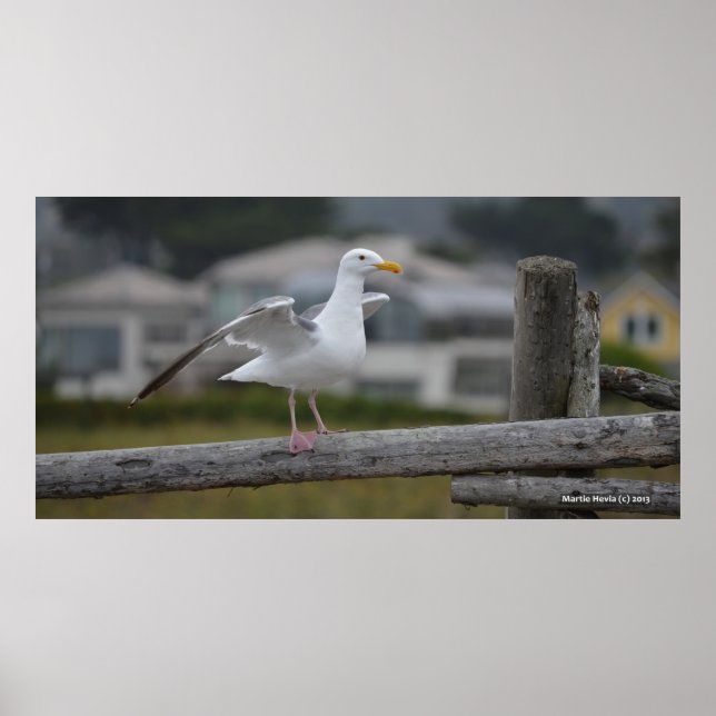 Affiches Sur la clôture II - Poster/Imprimer (Devant)