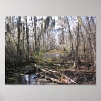 Sur le Bayou