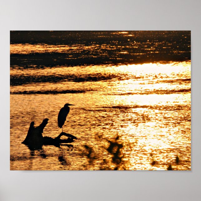 Affiches Sur le lac d'or (Devant)