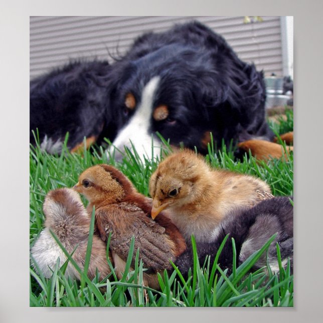 Affiches Sur le travail (Devant)