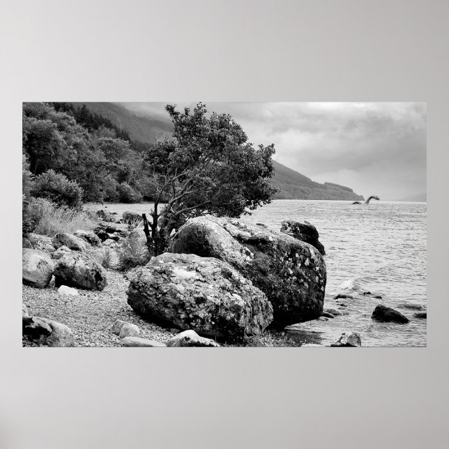 Affiches Sur les rives du Loch Ness avec le monstre (Devant)