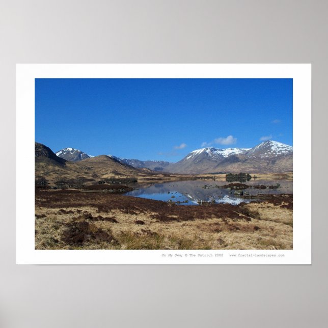 Affiches Sur mon propre (Devant)