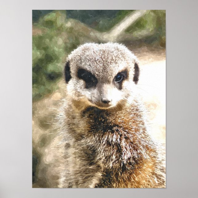 AFFICHES SURICATE (Devant)