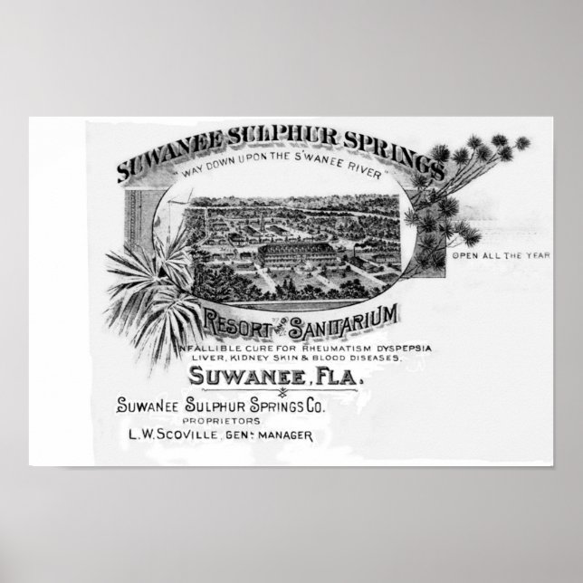 Affiches Suwannee Springs historique, Florida suwannee rive (Devant)