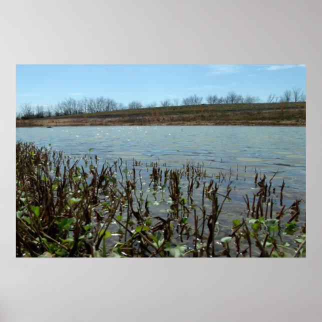 Affiches Swampy Scape (Devant)