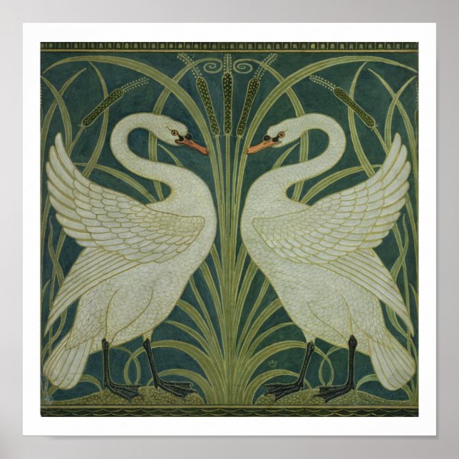 Affiches 'Swan, Rush et Iris' (Devant)