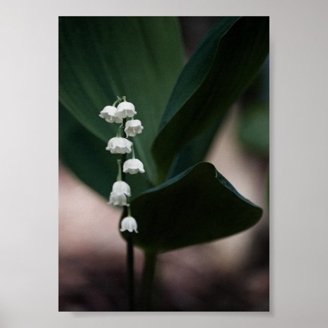 Affiches Sweet Bells Print (Devant)