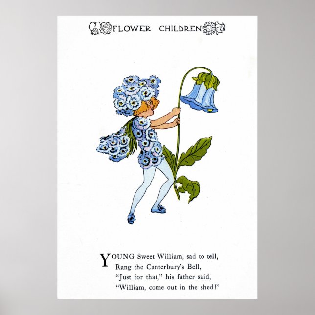 Affiches Sweet William (Devant)