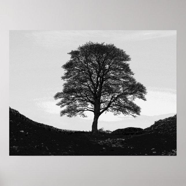 Affiches Sycamore Gap Poster/Print (Devant)