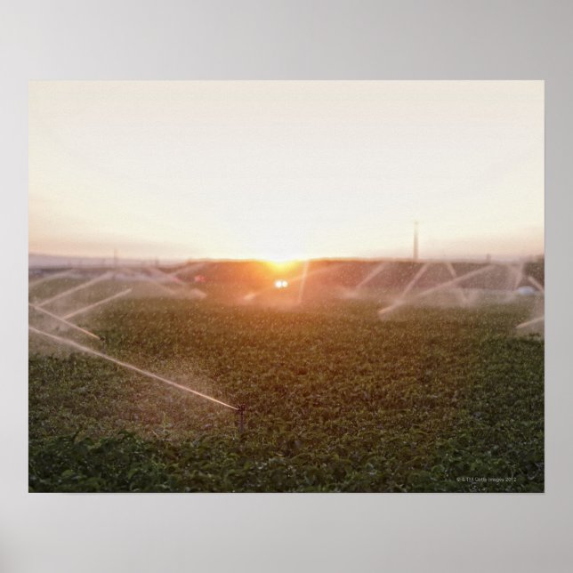 Affiches Système d'irrigation agricole (Devant)