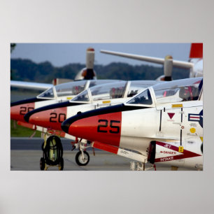 Affiches T-2 Buckeyes