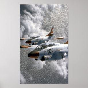 Affiches T-2 Buckeyes