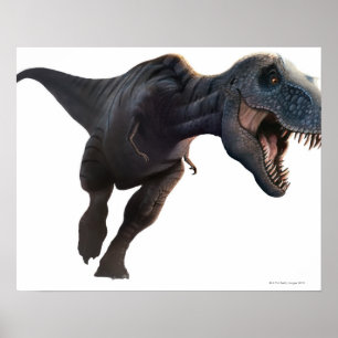Affiches T Rex 2