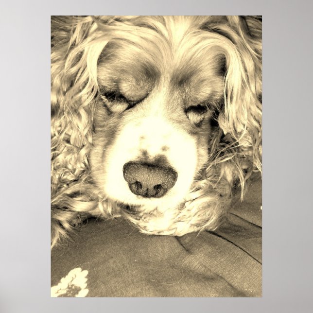 Affiches Taking a Moment (Devant)