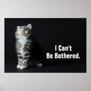 Affiches Tall Tabby